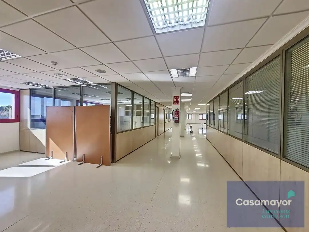 Oficina de alquiler en Avinguda d'Elx, Babel, Benalúa - Babel