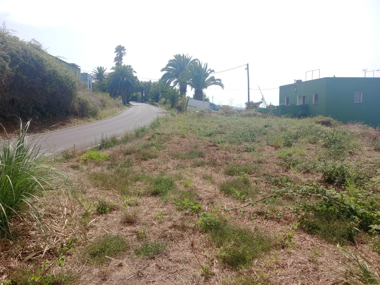 Terreny rústic en venda a Carretera General Ochocientos Veinte 76, imagen 14