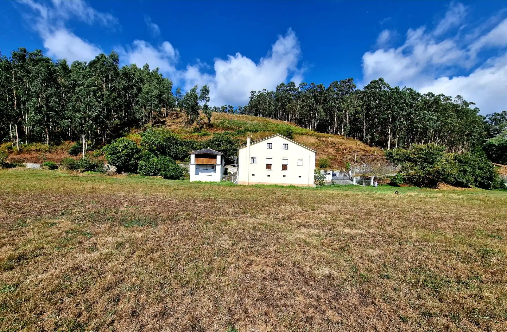 Vista exterior de Casa o xalet en venda en San Tirso de Abres amb Calefacció, Jardí privat i Traster