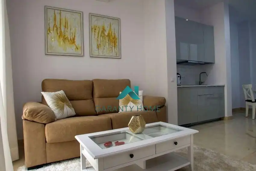 Appartement avec terrasse à louer à Casco Antiguo, imagen 10