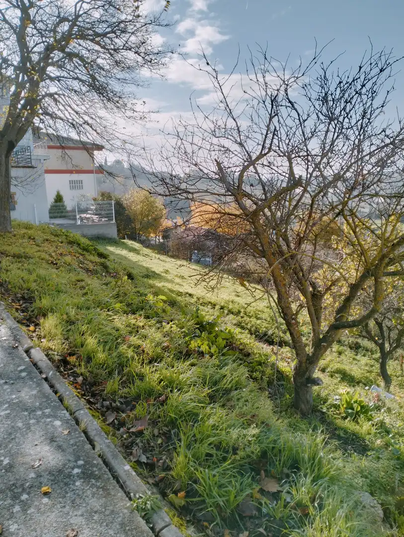 Land for sale in Tiebas-Muruarte de Reta