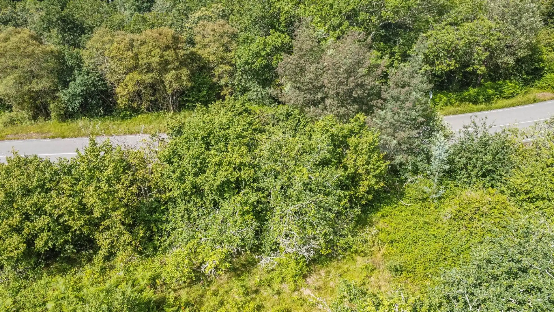 Rural land for sale in del pareo, imagen 40