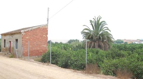 Foto 4 de Finca rústica en venda a Vereda del Cementerio, 264, Desamparados - Hurchillo - Torremendo, Orihuela