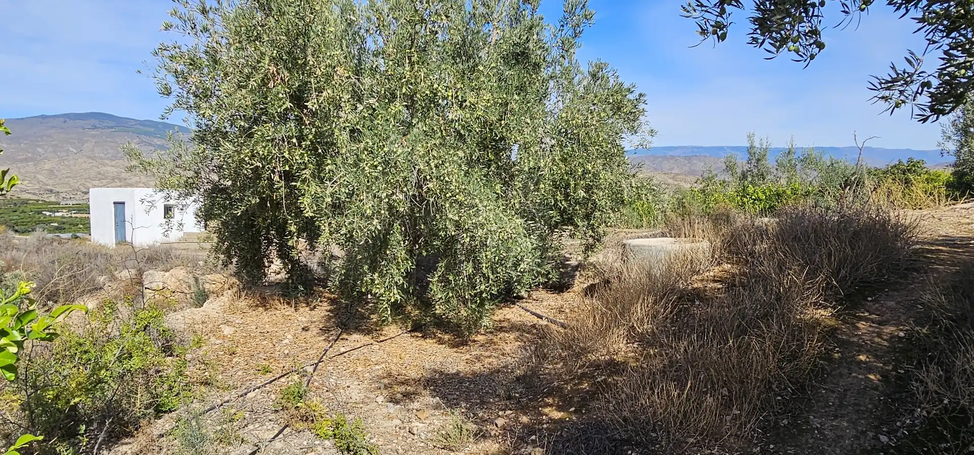 Terreno en venta en Bentarique