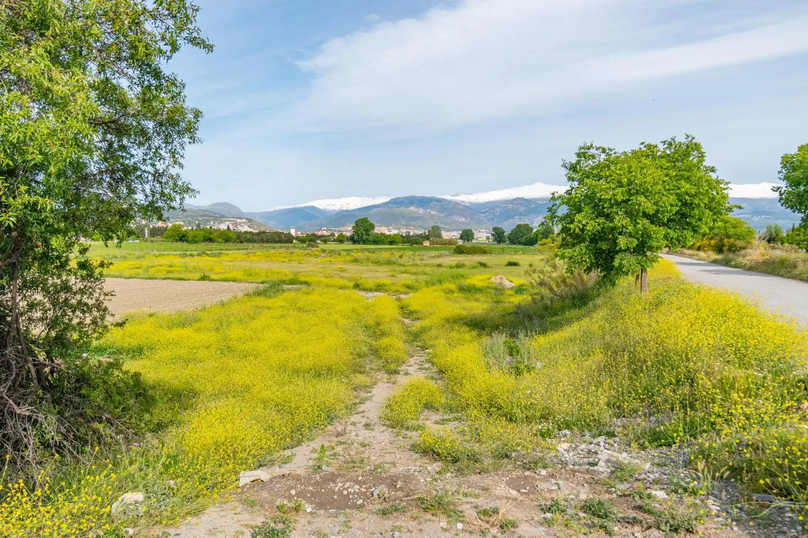 Lands and plots for sale in Polígono 9 Parcela 307 MARACHAT. GRANADA (GRANADA, imagen 20