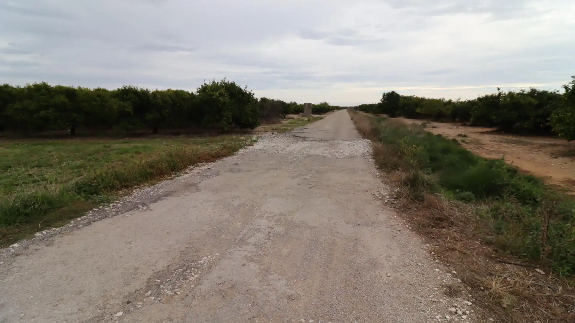 Terreno rustico in vendita a Partidas de interior - Zona Rústica, imagen 9