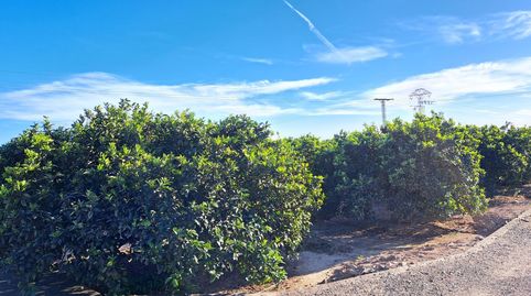 Foto 5 de Terreno en venta en Urbanitzacions i Pedanies Nord, Alzira