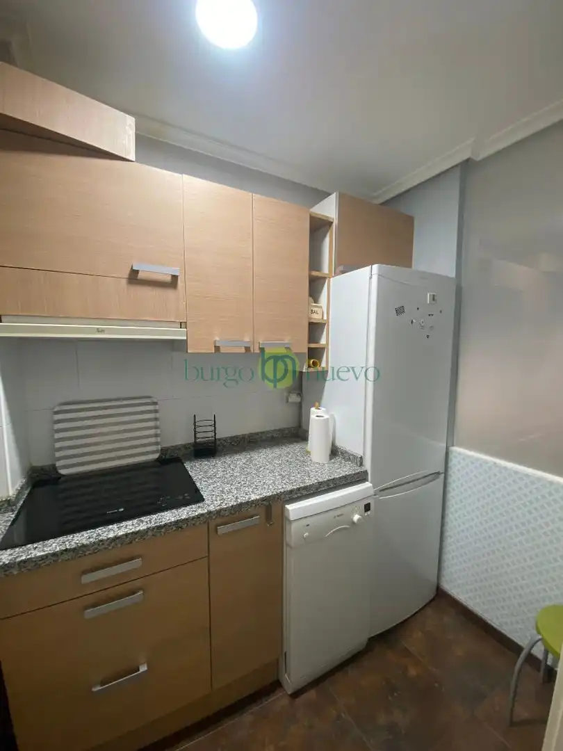 Kitchen of Apartments for rent in León Capital   with Heating, Storage room and Furnished