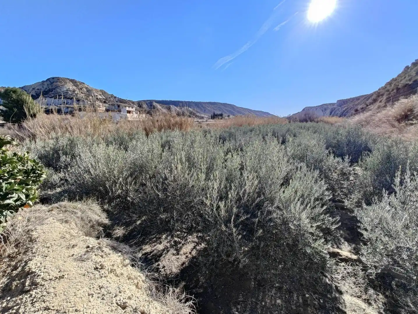 Lands and plots for sale in Mula, imagen 8