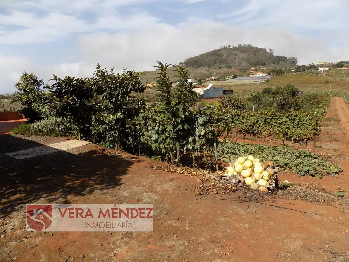 Country homes for sale in Tacoronte