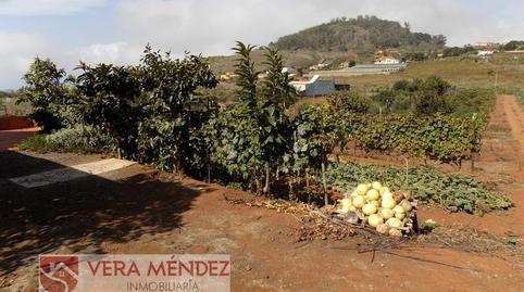 Foto 4 de Finca rústica en venda a Tacoronte - Los Naranjeros, Santa Cruz de Tenerife
