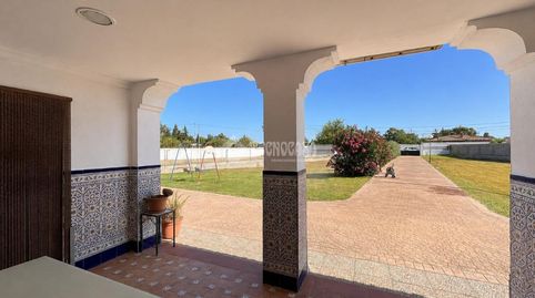 Foto 5 de Finca rústica en venda a Pelagatos - Pago del Humo, Chiclana de la Frontera