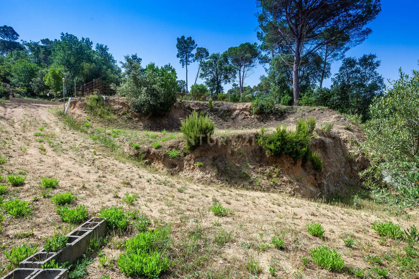 Terreno residencial en venta en Mimoses 527, imagen 2