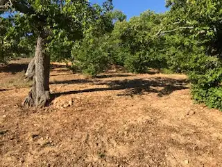 Terreni e lotti in vendita a Cortegana, imagen 20
