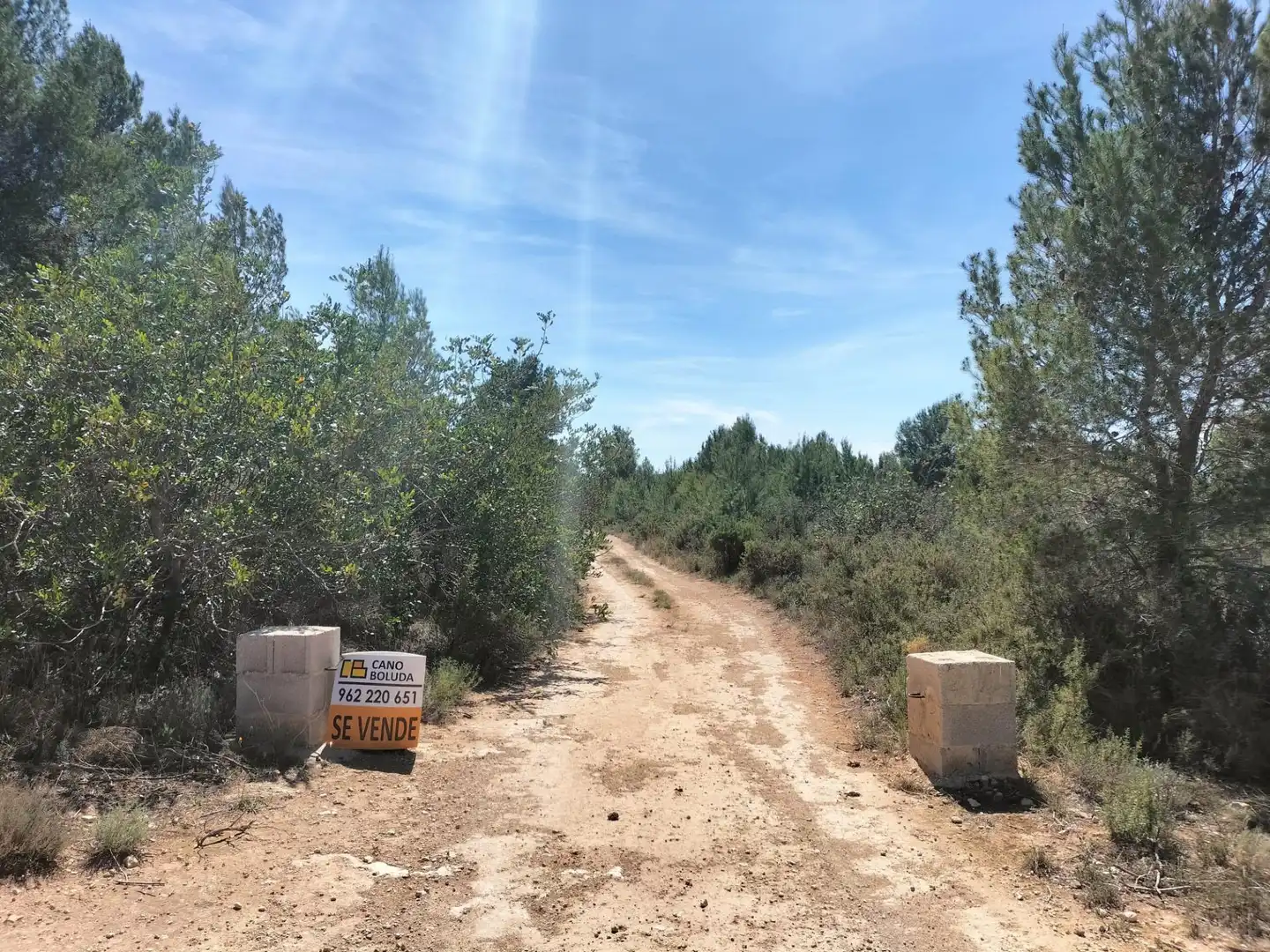 Terreno rustico in vendita a Navarrés, imagen 2