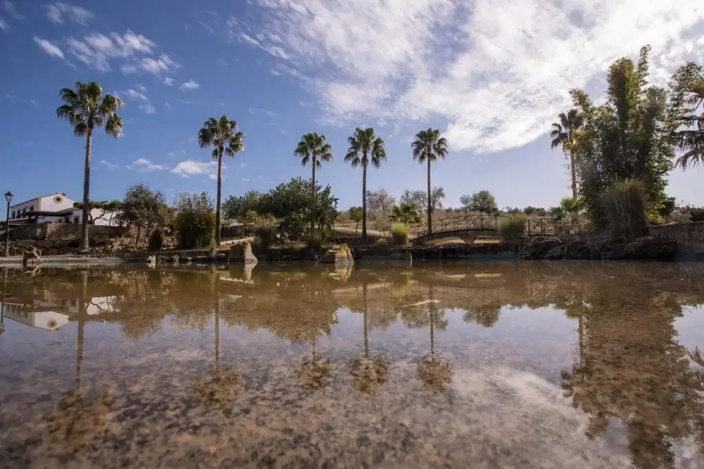 Vista exterior de Finca rústica en venda en Arcos de la Frontera amb Calefacció, Terrassa i Traster