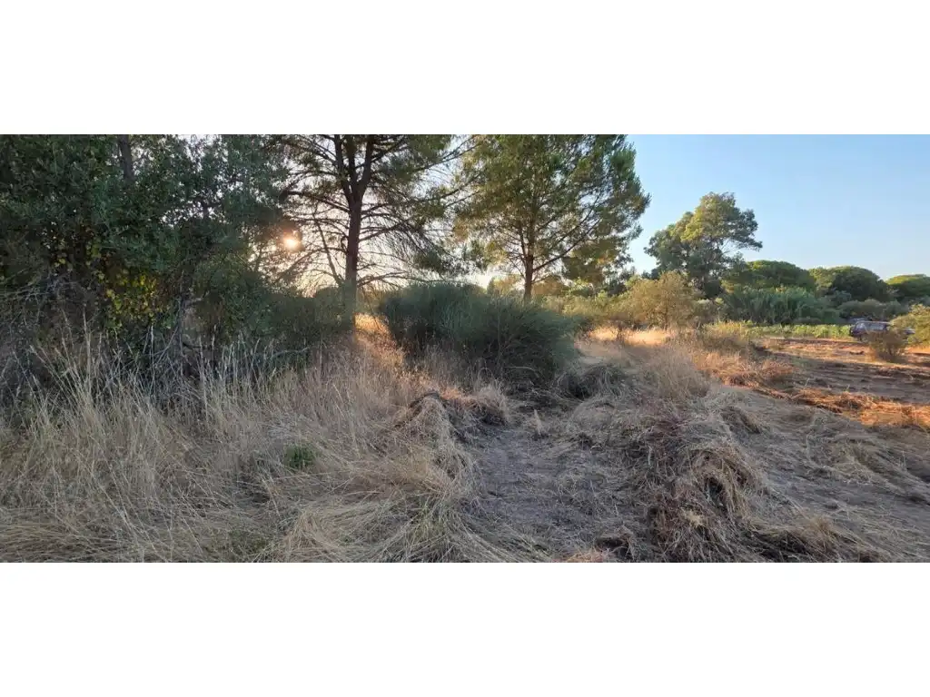 Terreni e lotti in vendita a Villablanca, imagen 6
