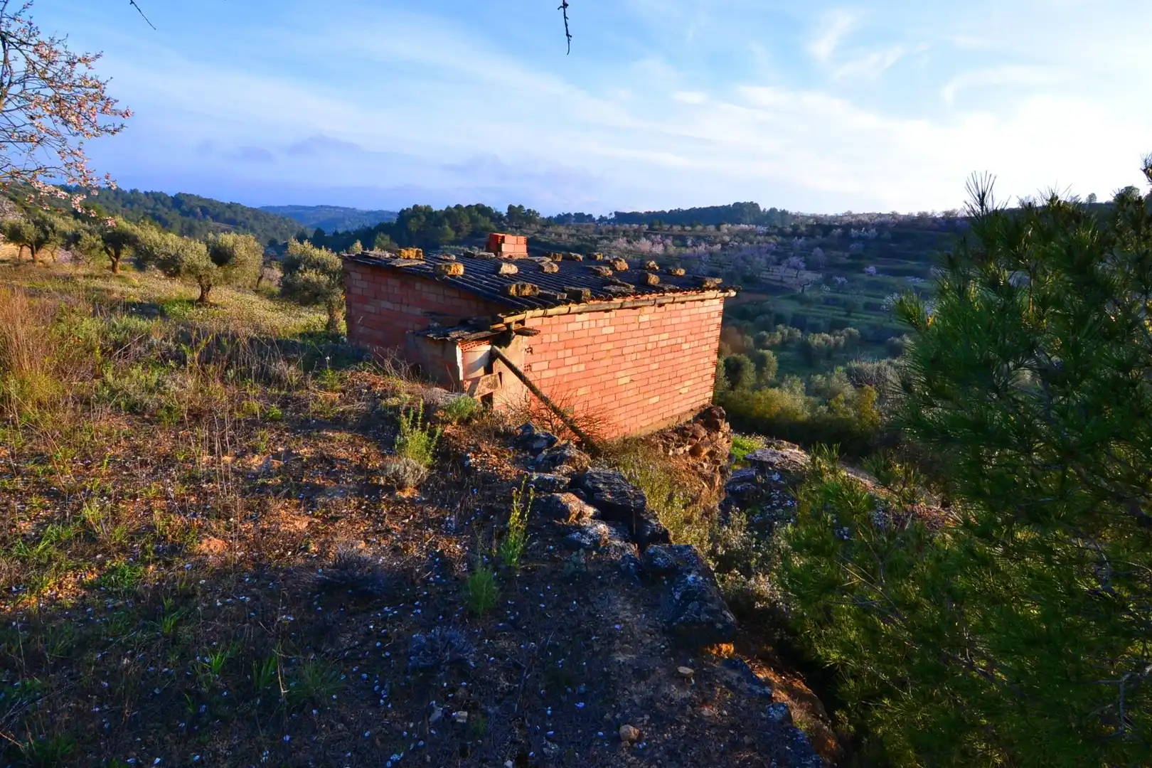 Rural land for sale in Corbera d'Ebre, imagen 60