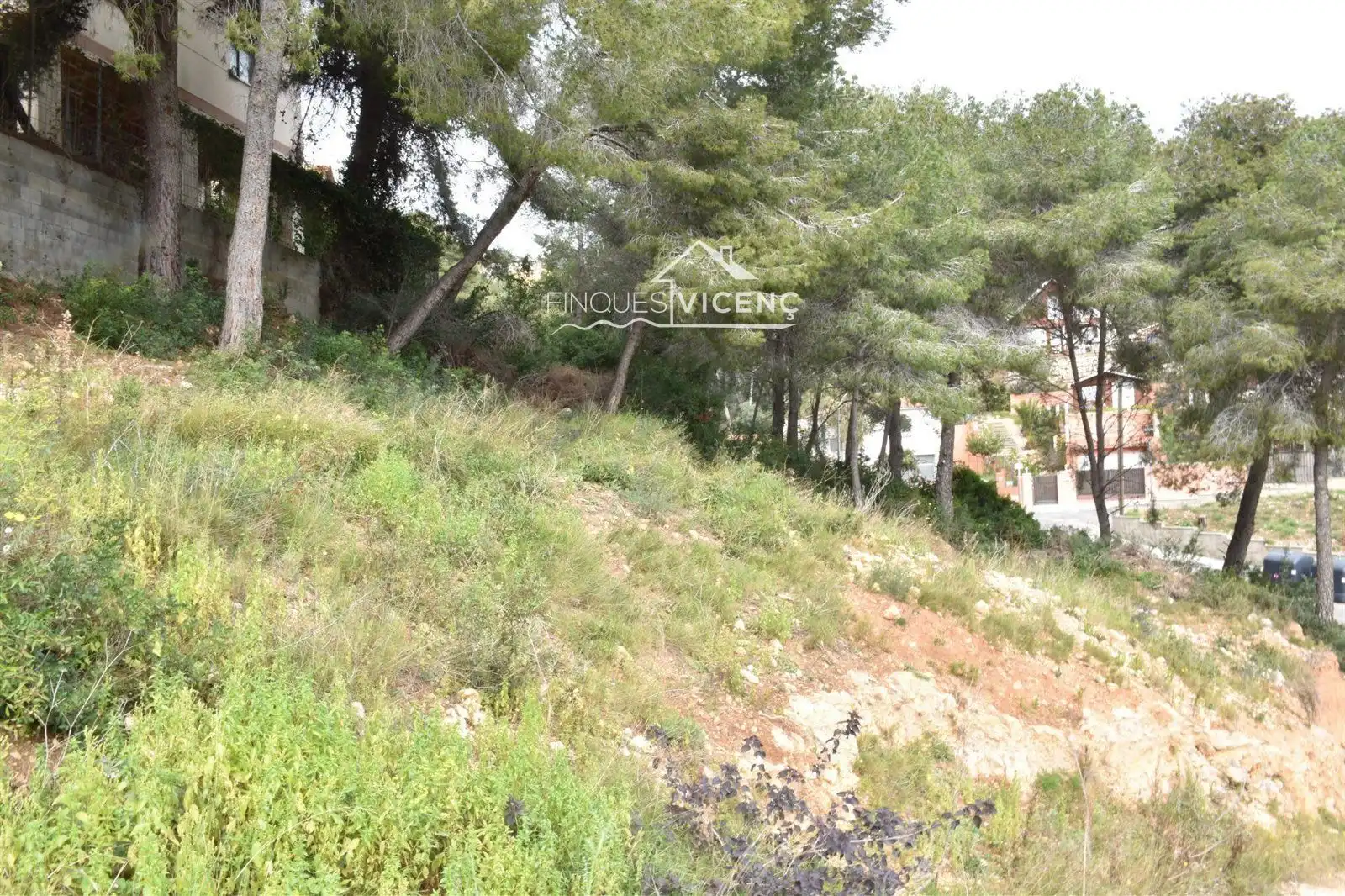 Rural land for sale in GLADIOL, imagen 3