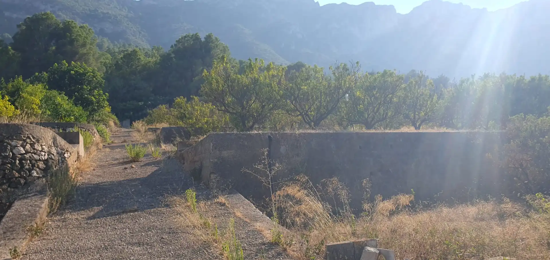 Terrain rustique à vendre à Diseminado Casa Canet, imagen 5