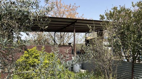Foto 5 de Finca rústica en venta en Pilas, Sevilla