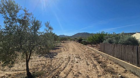 23,000m Building Plot with Water Connection and Electricity Nearby