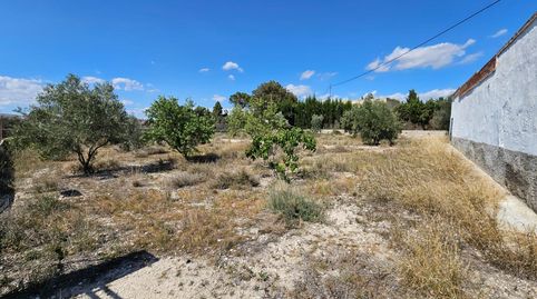 Foto 4 de Finca rústica en venta en Petrer, Alicante