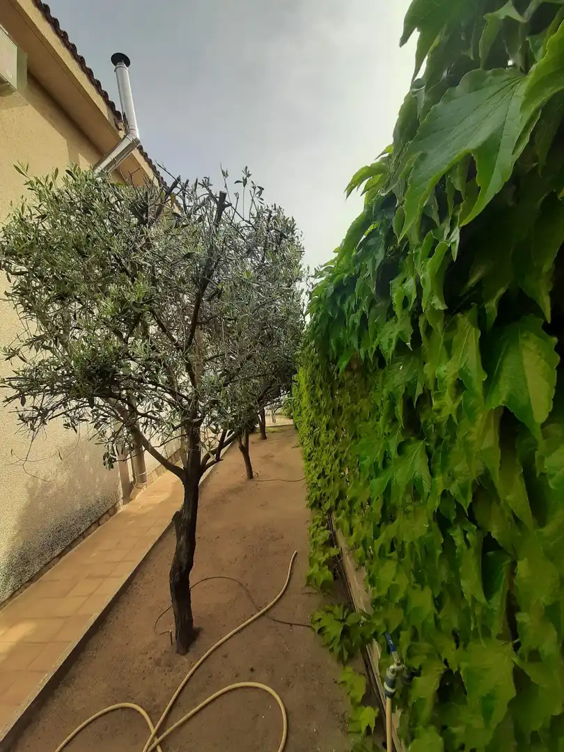 Garden of Houses for sale in Navas del Rey  with Heating