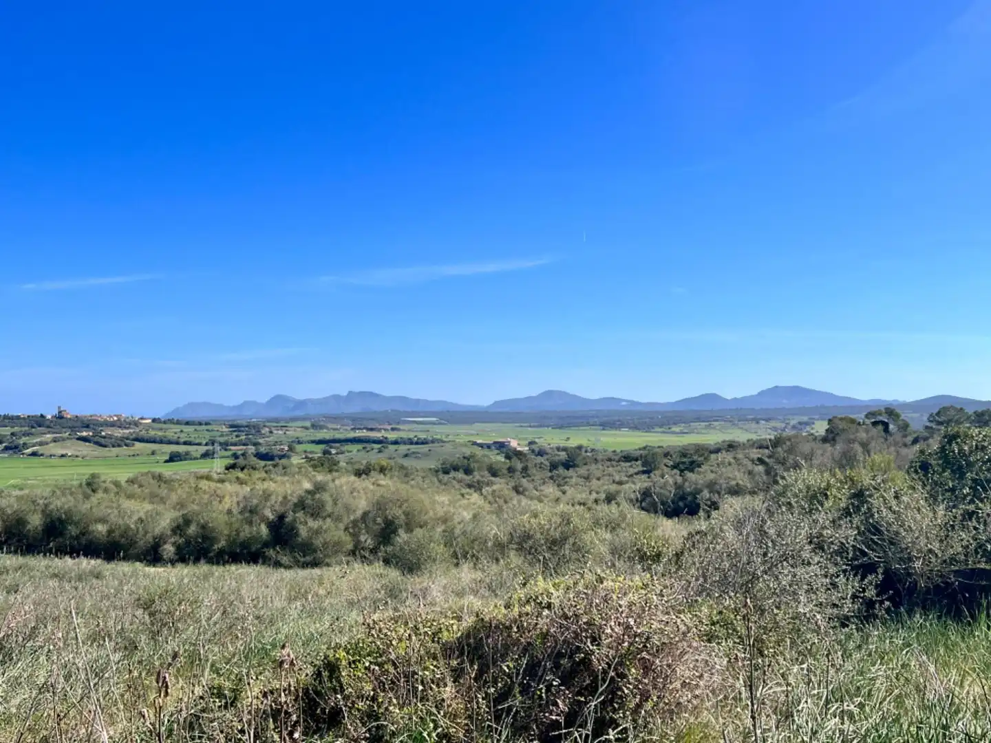 Finca rústica en venta en Petra
