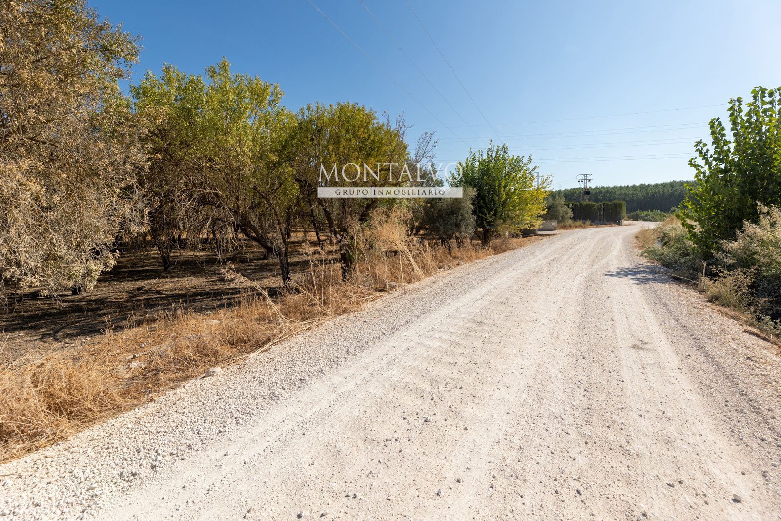 Grundstücke zum Verkauf in Láchar