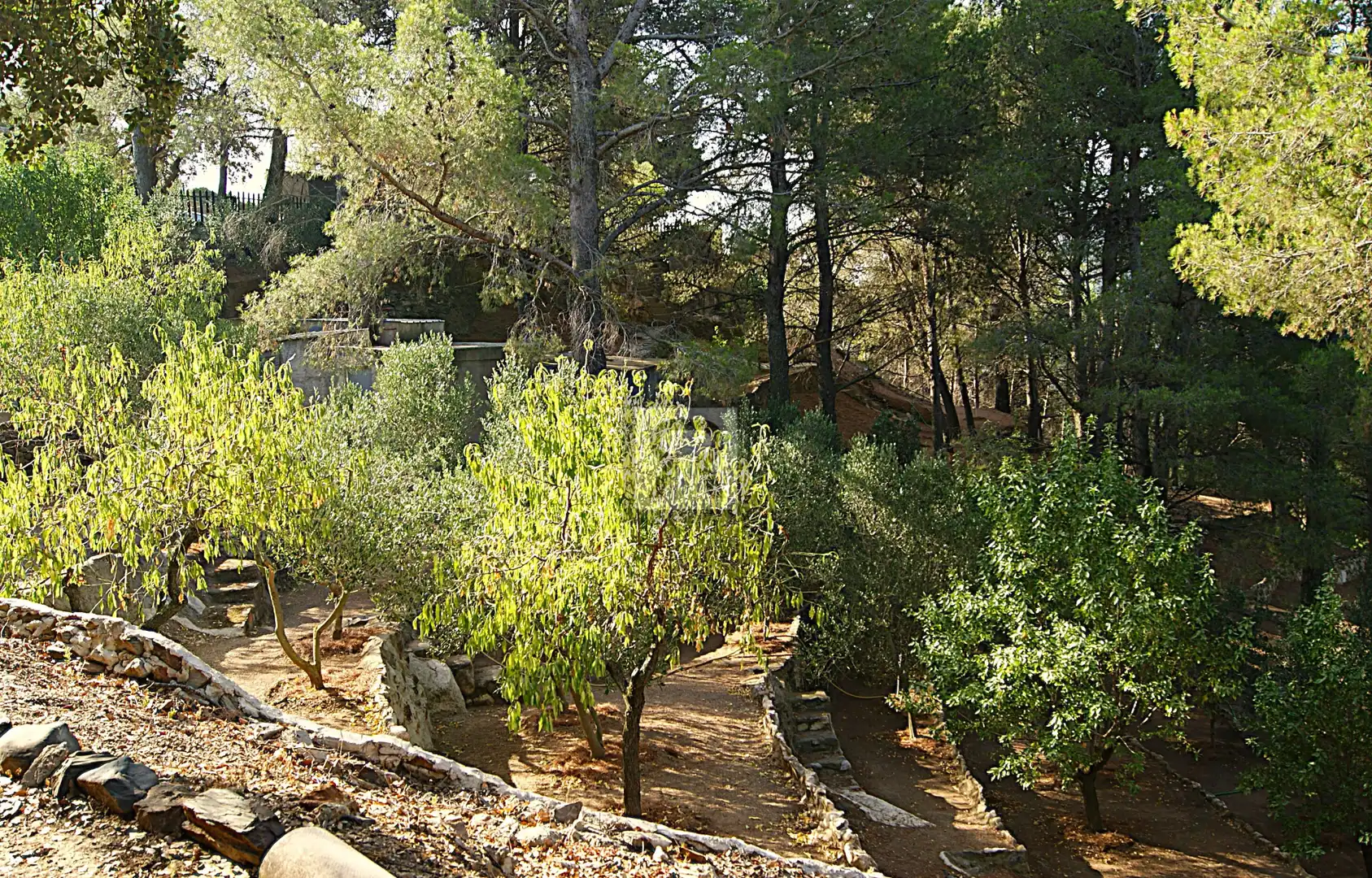 Casa rústica amb piscina en venda a Partida Garramel 5, imagen 28
