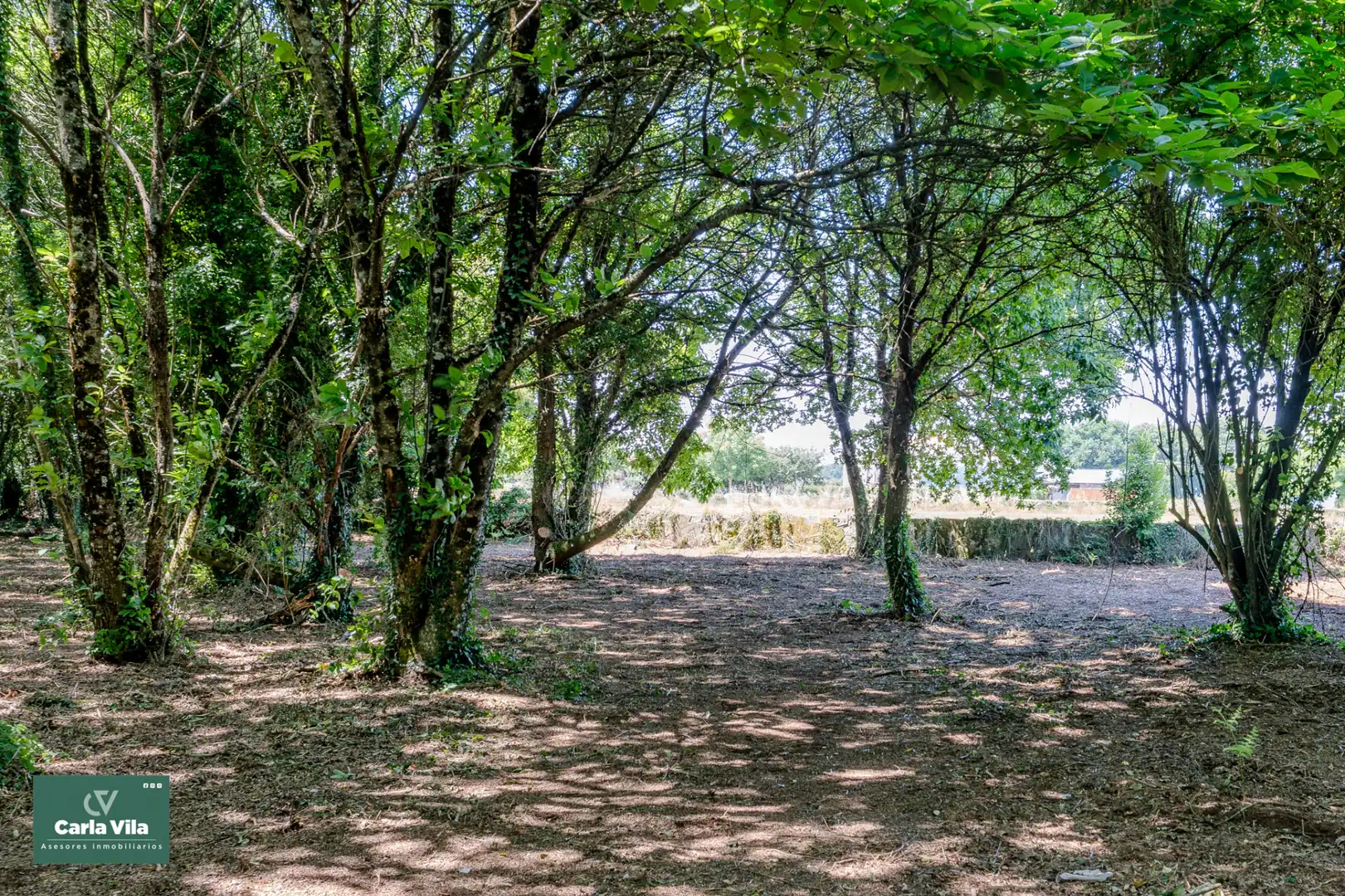 Finca rústica en venta en Lugo con Jardín privado y Balcón