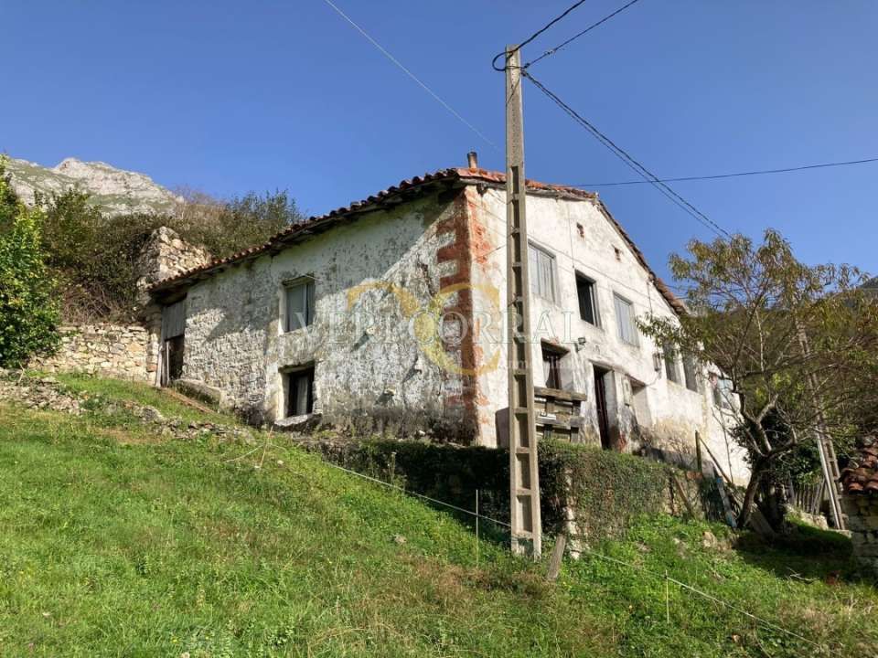 House or chalet for sale in Rozacanal, Peñamellera Alta