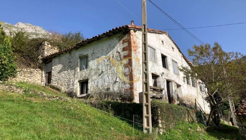 Foto 1 de Casa o xalet en venda a Rozacanal, Peñamellera Alta, Asturias