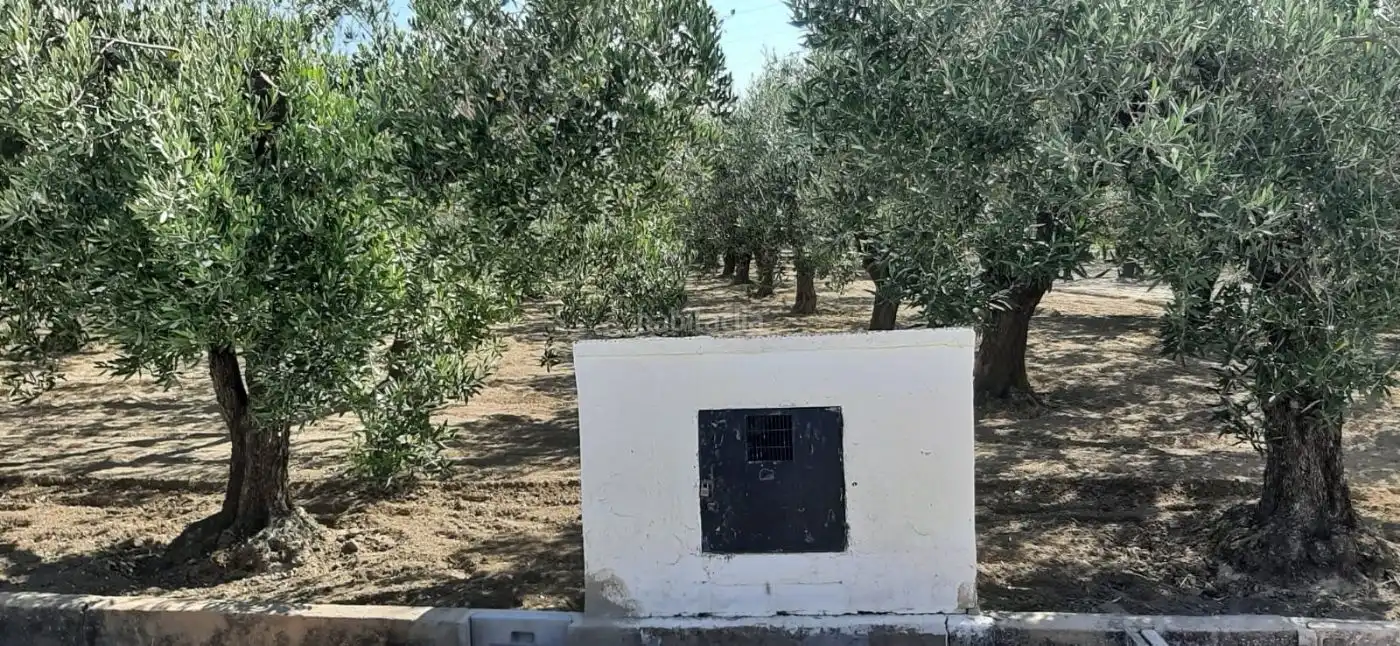 Terrain rustique à vendre à Carrer de l'Alcalde Paco Montes 43, imagen 10