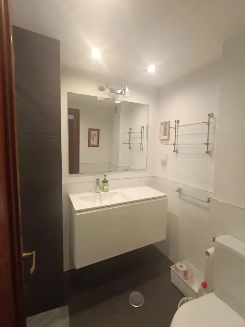 Apartments for rent in Calle Numa Guilhou, Barrio del Centro