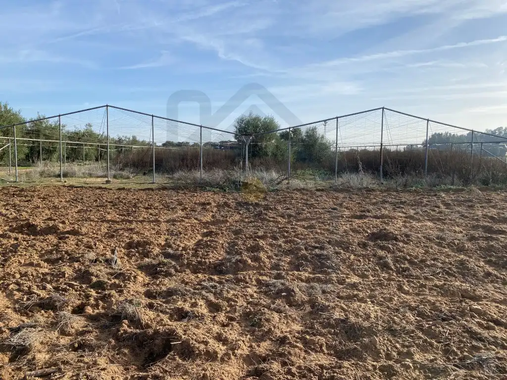 Terreni e lotti in vendita a Poligono 3 Paraje 470 La Indiana, imagen 2
