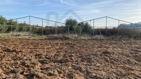 Foto 2 de Terreny en venda a Poligono 3 Paraje 470 la Indiana, Pedanías Norte, Utrera