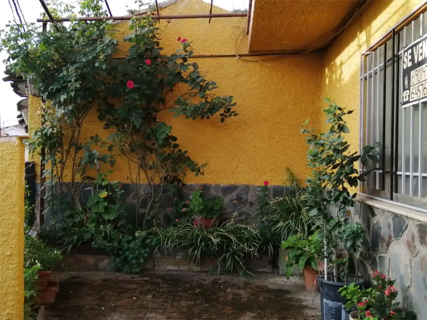 Jardín de Casa o chalet en venta en Carrascalejo con Jardín privado, Amueblado y Horno