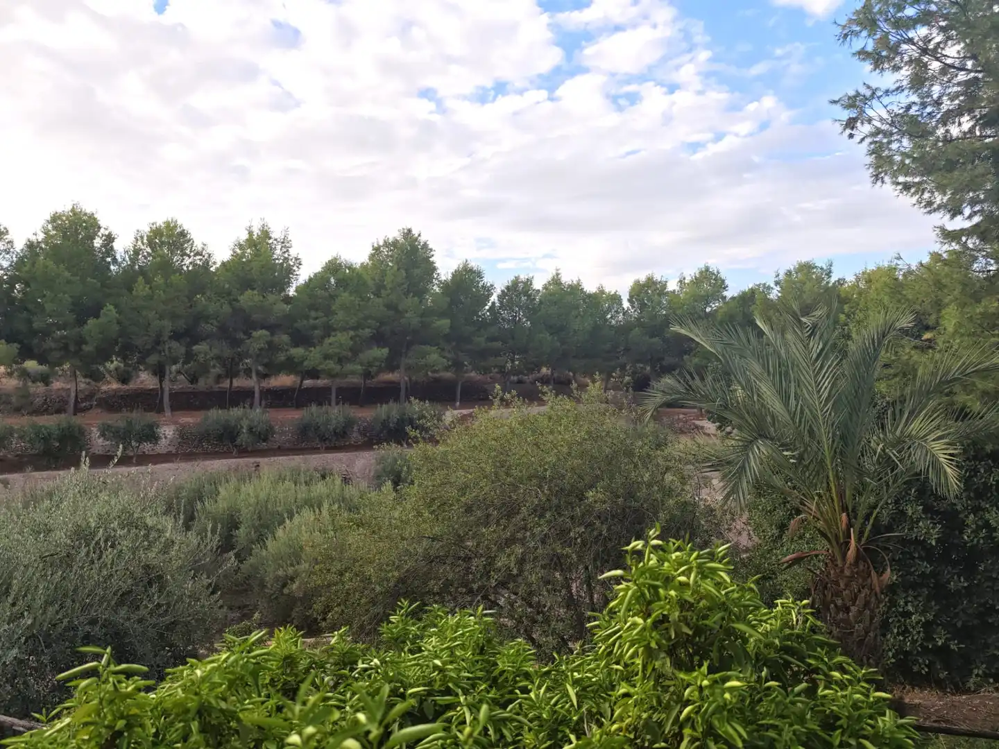 Villa avec piscine à vendre à Totana, imagen 55