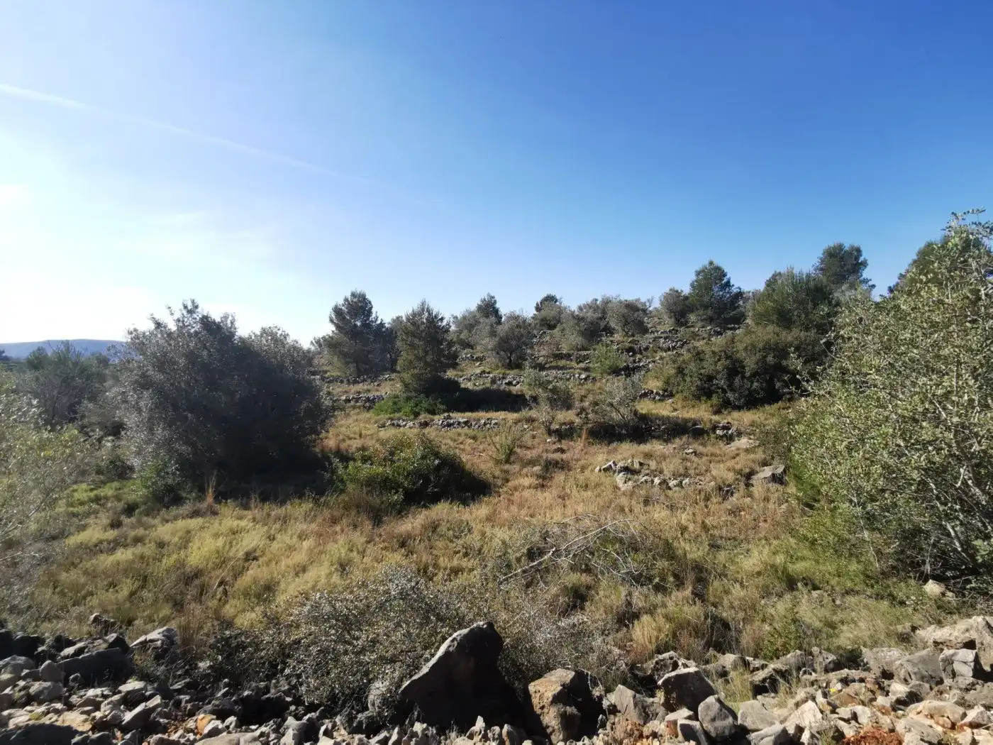 Finca rústica en venda en Chella