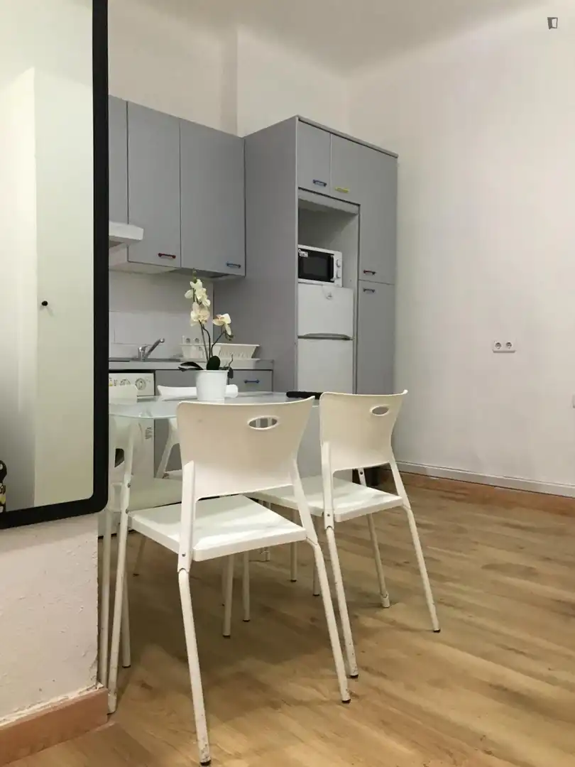 Wohnung zur Miete in Gaztambide