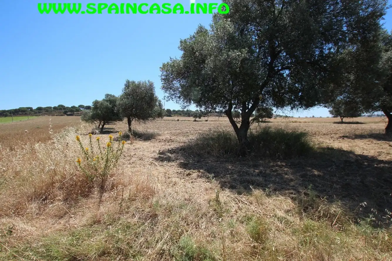 Terrenos y solares en venta en Núcleo urbano, imagen 15