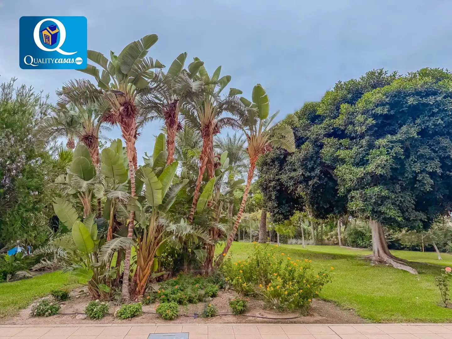 Flat with pool for sale in Playa de Poniente, imagen 23