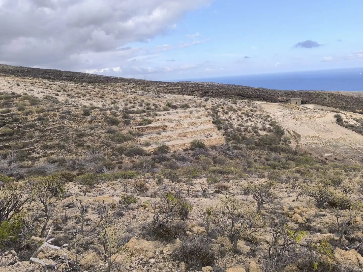 Land for sale in Fasnia