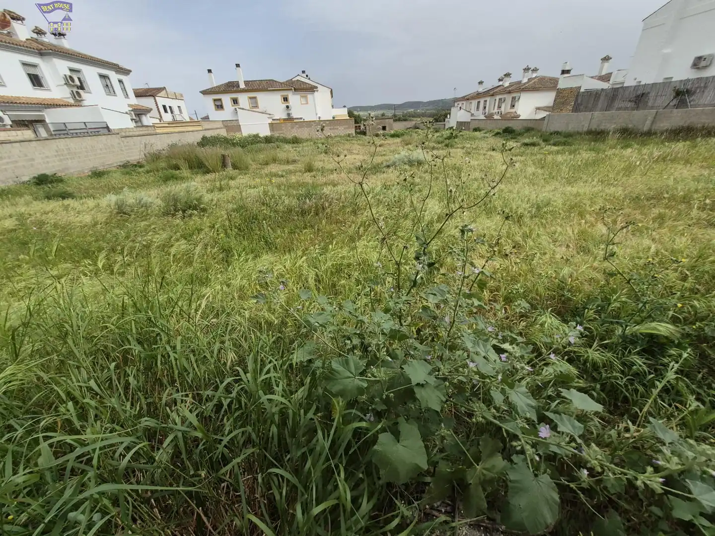 Terrenys i solars en venda a Arcos de la Frontera, imagen 5