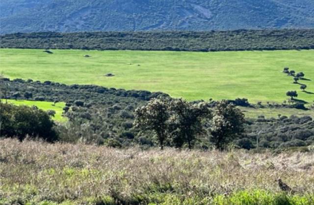 Terreno residencial en Venta en Ciudad Jardín