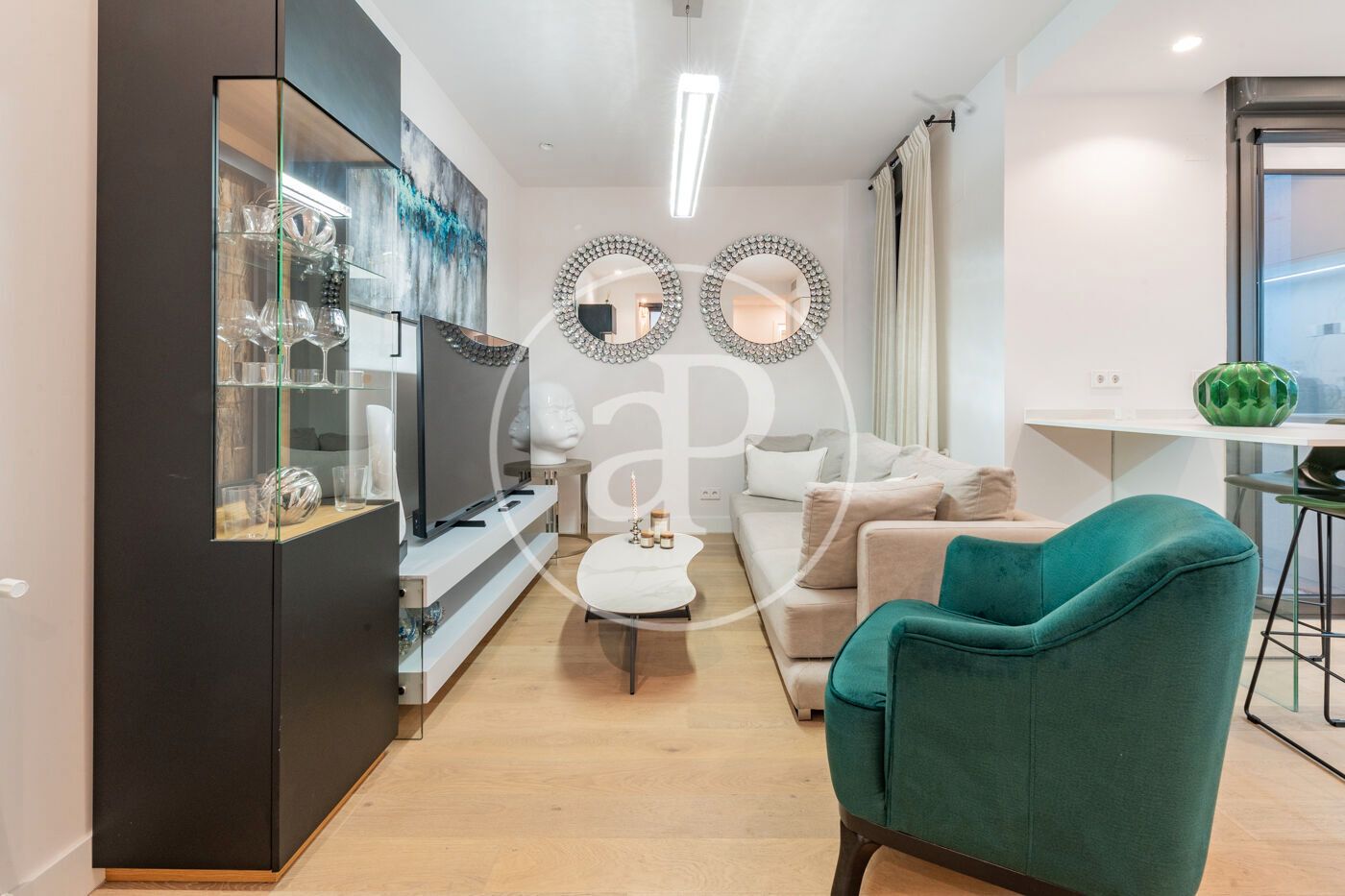 Living room of Flat to rent in  Madrid Capital  with Air Conditioner, Heating and Furnished