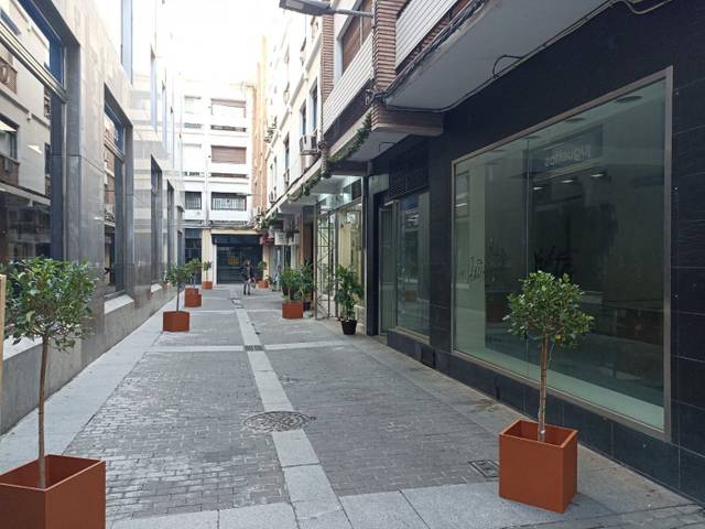 Local comercial en Alquiler en Calle CONDE DE ROBLEDO, 5 en Zona Centro