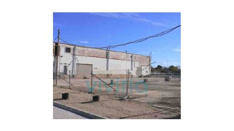 SUELOS en AV DE LES CENDROSSES, SUECA, imatge 5